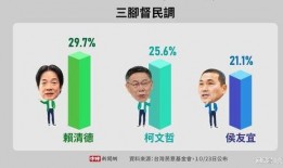 台湾选举最新爆料信息,惊人内幕曝光，选情再掀波澜